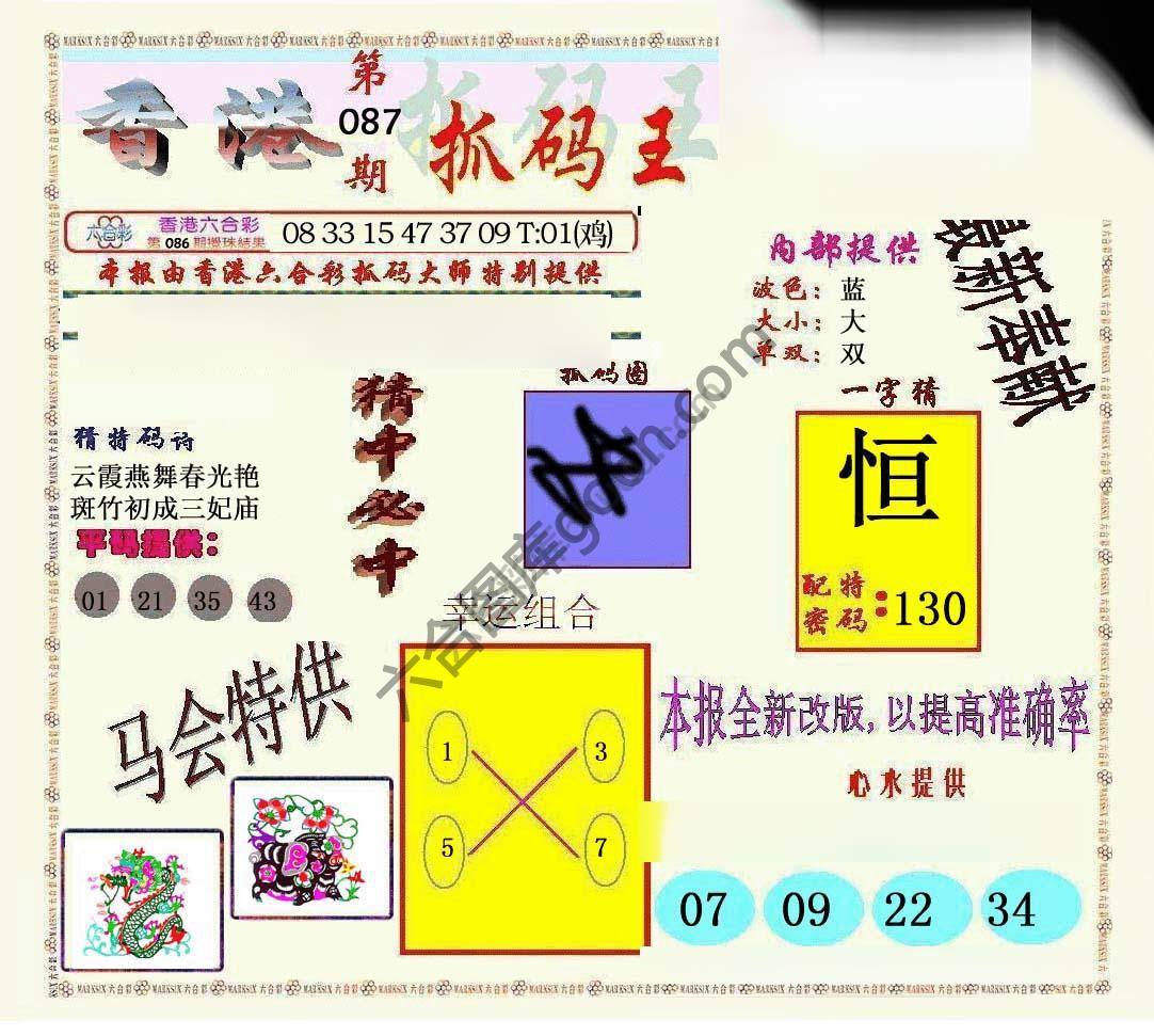 新抓码王