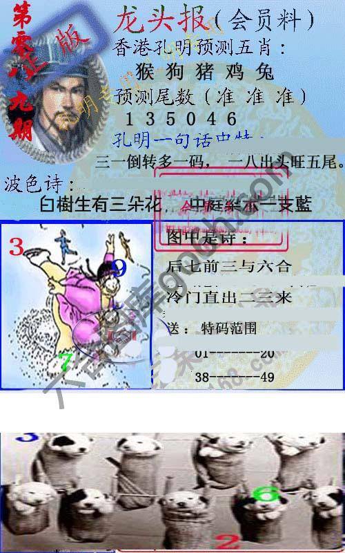 龙头报