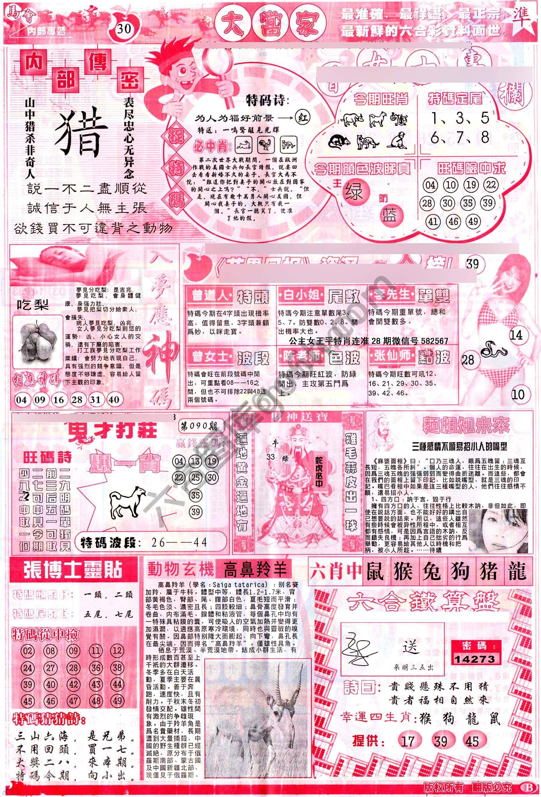大当家