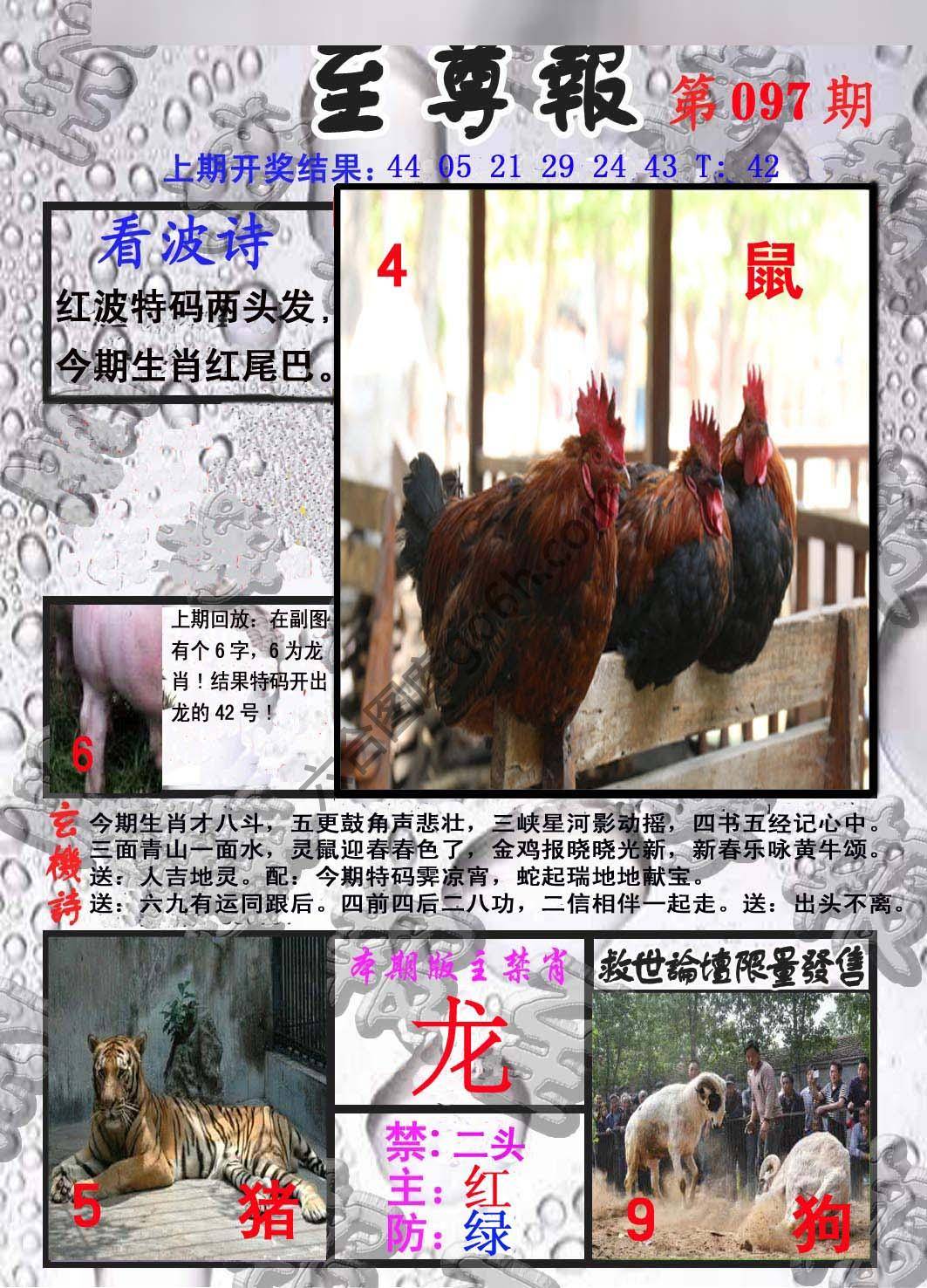 至尊报