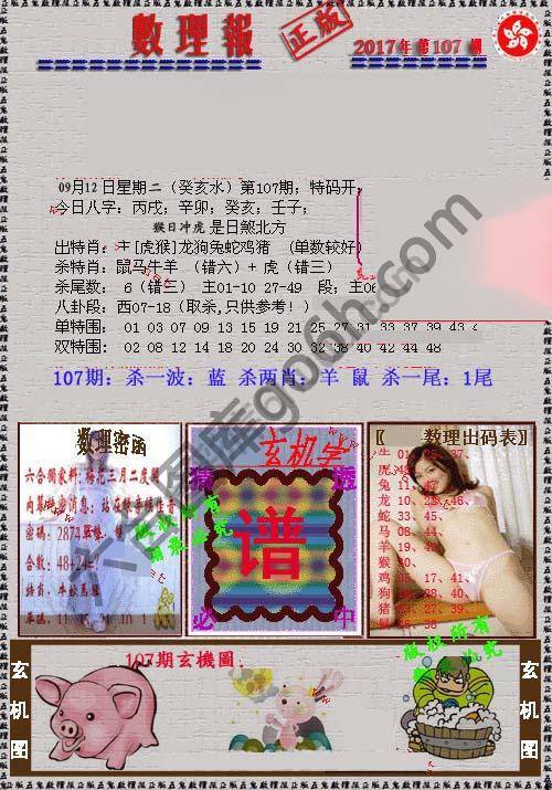 数理报