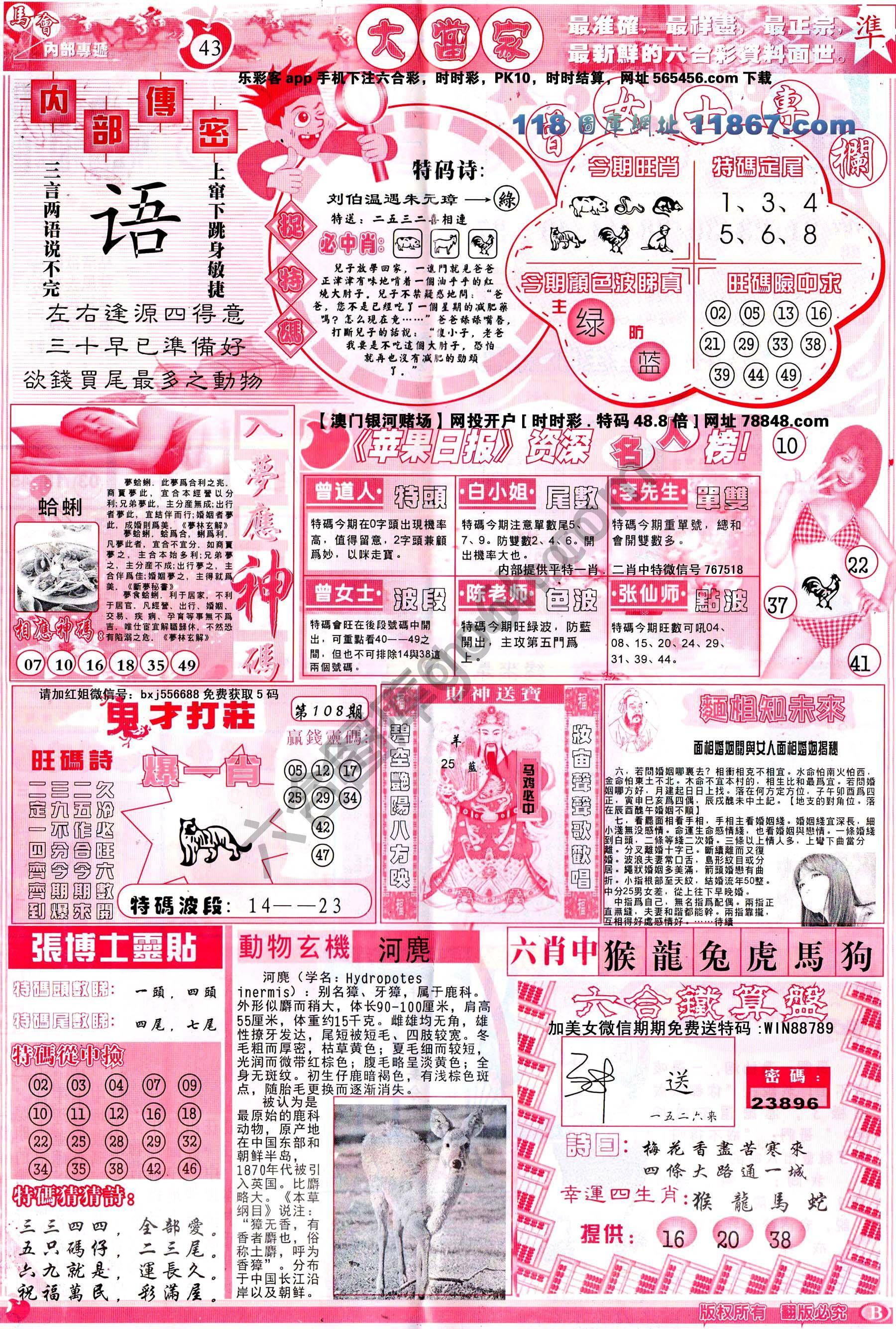 大当家