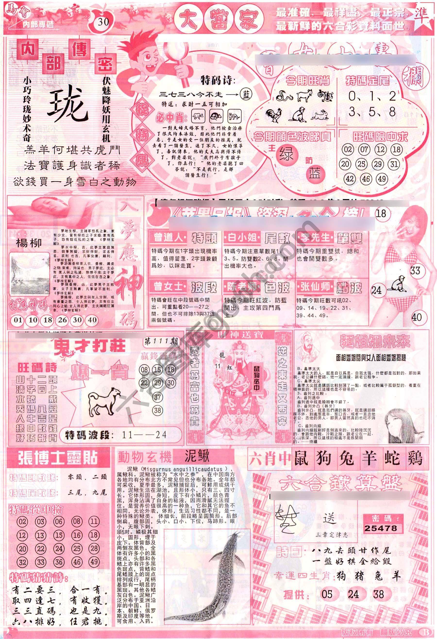 大当家