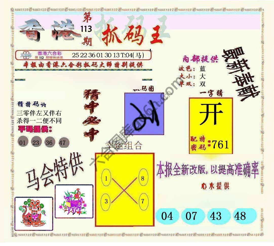 新抓码王