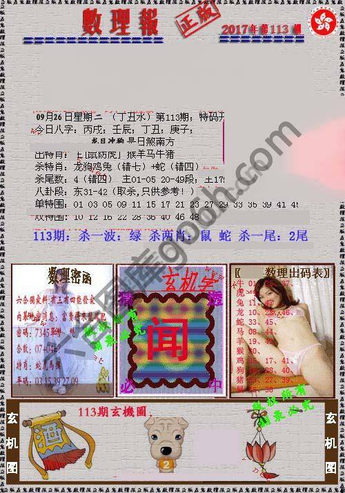 数理报
