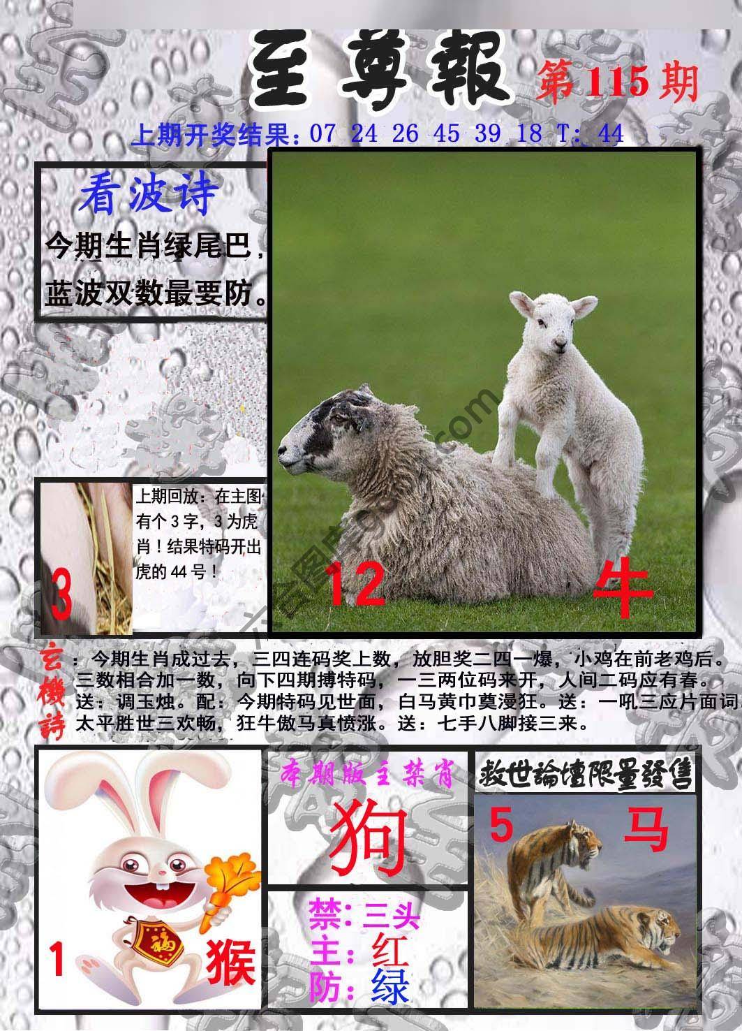 至尊报