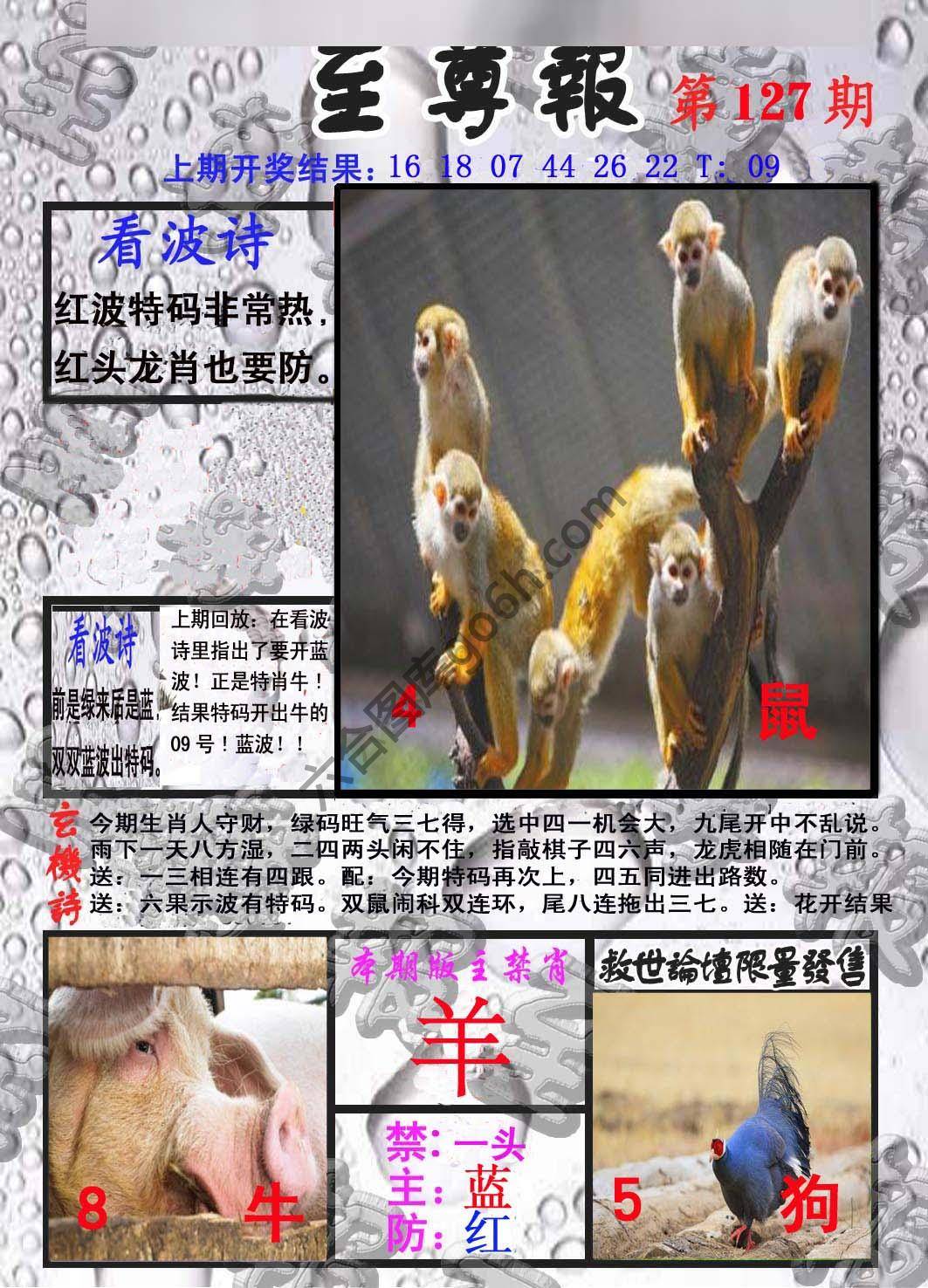 至尊报
