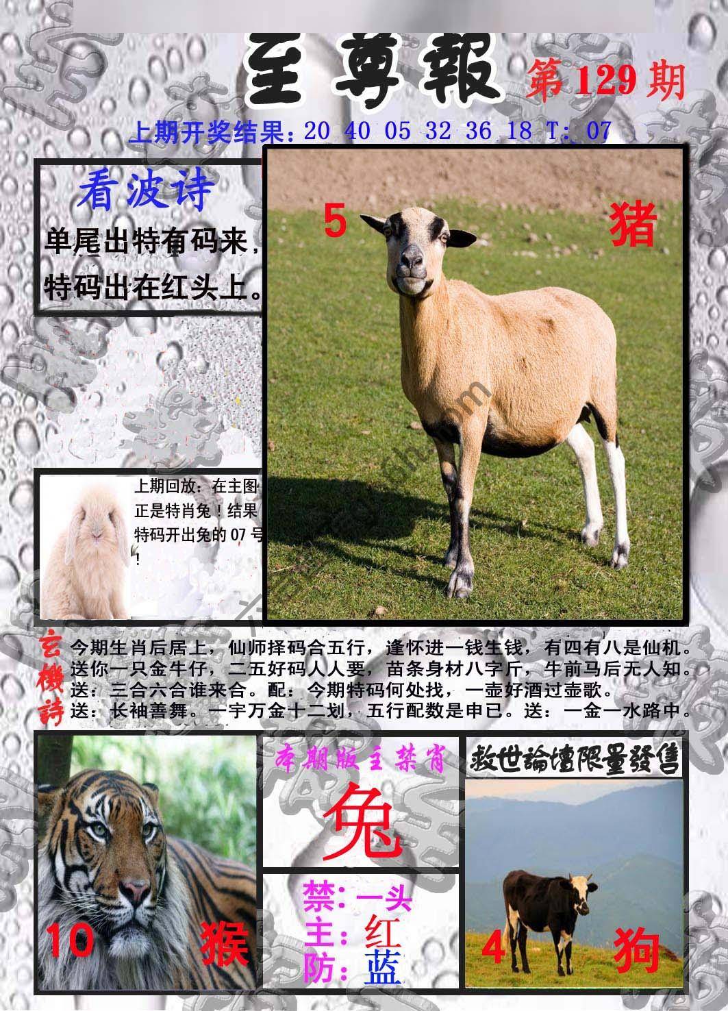 至尊报