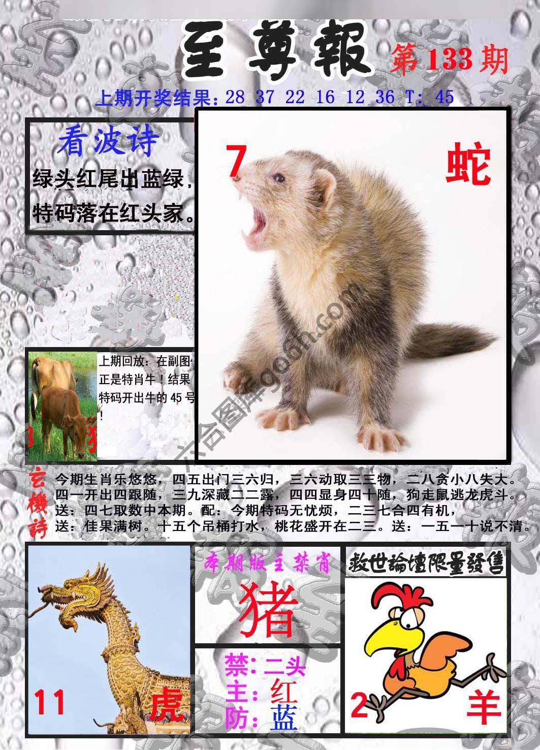 至尊报