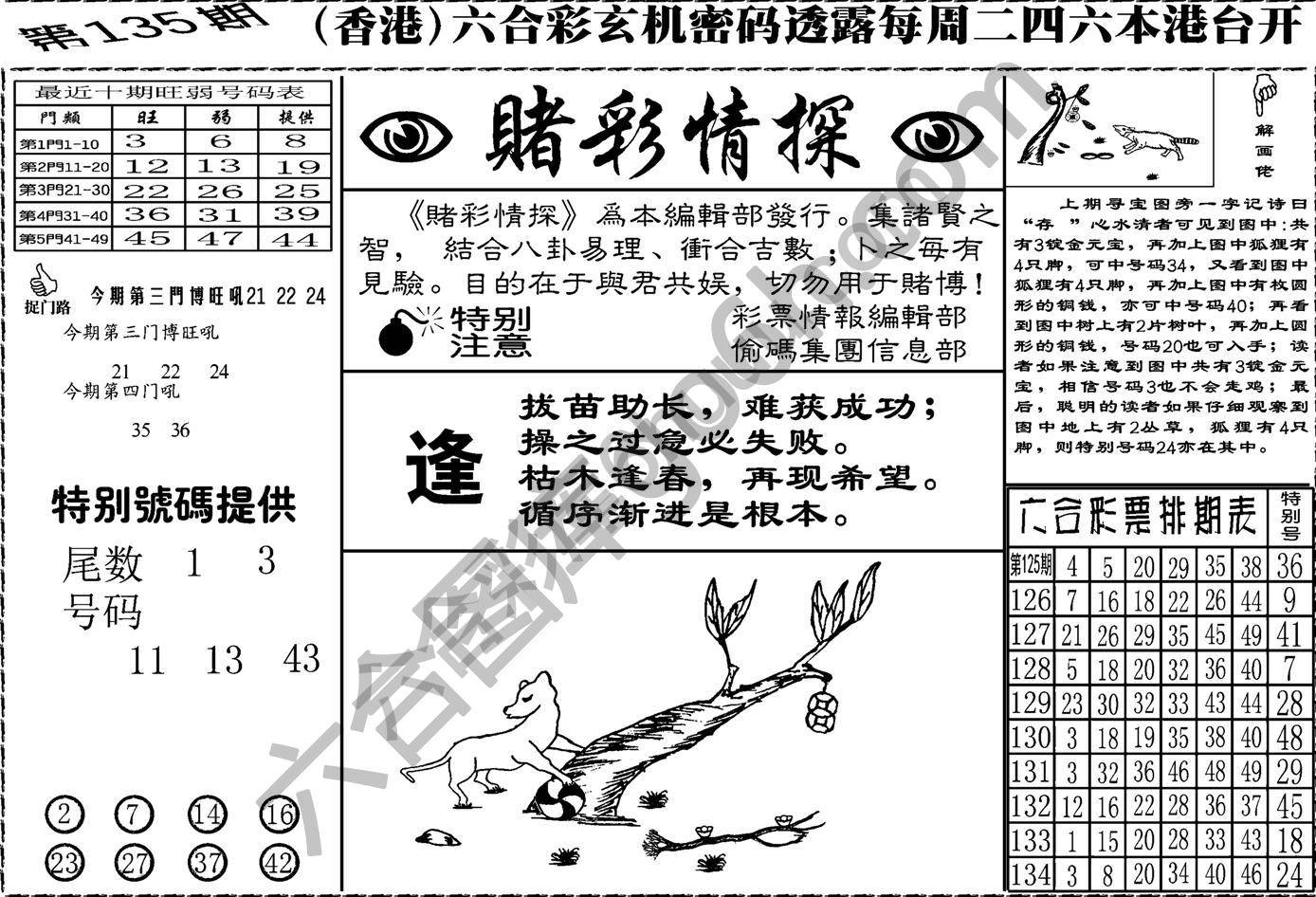 赌彩情探