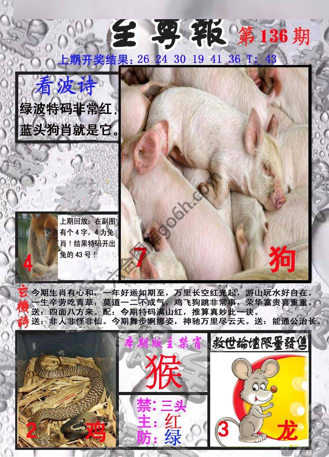 至尊报