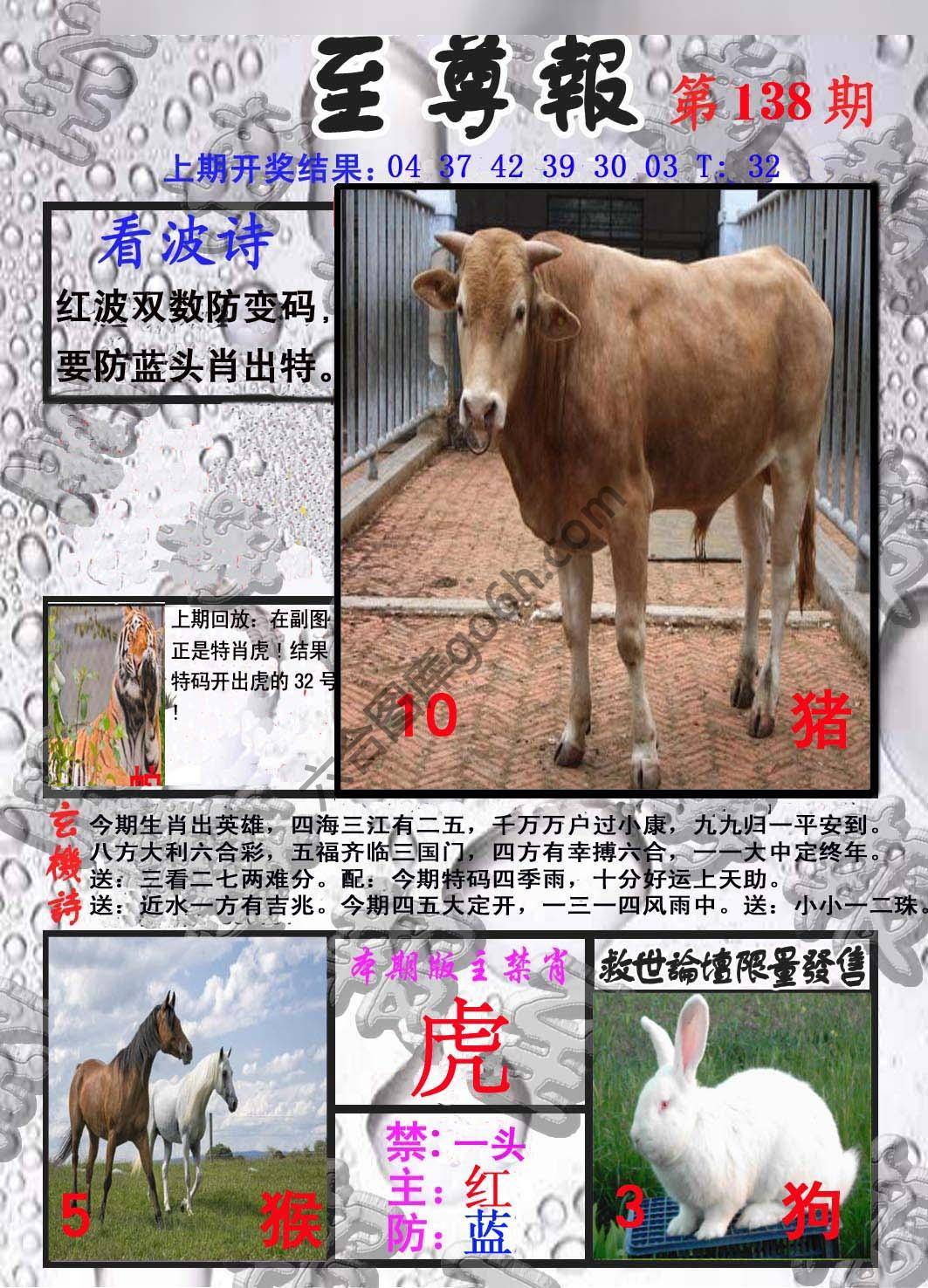 至尊报