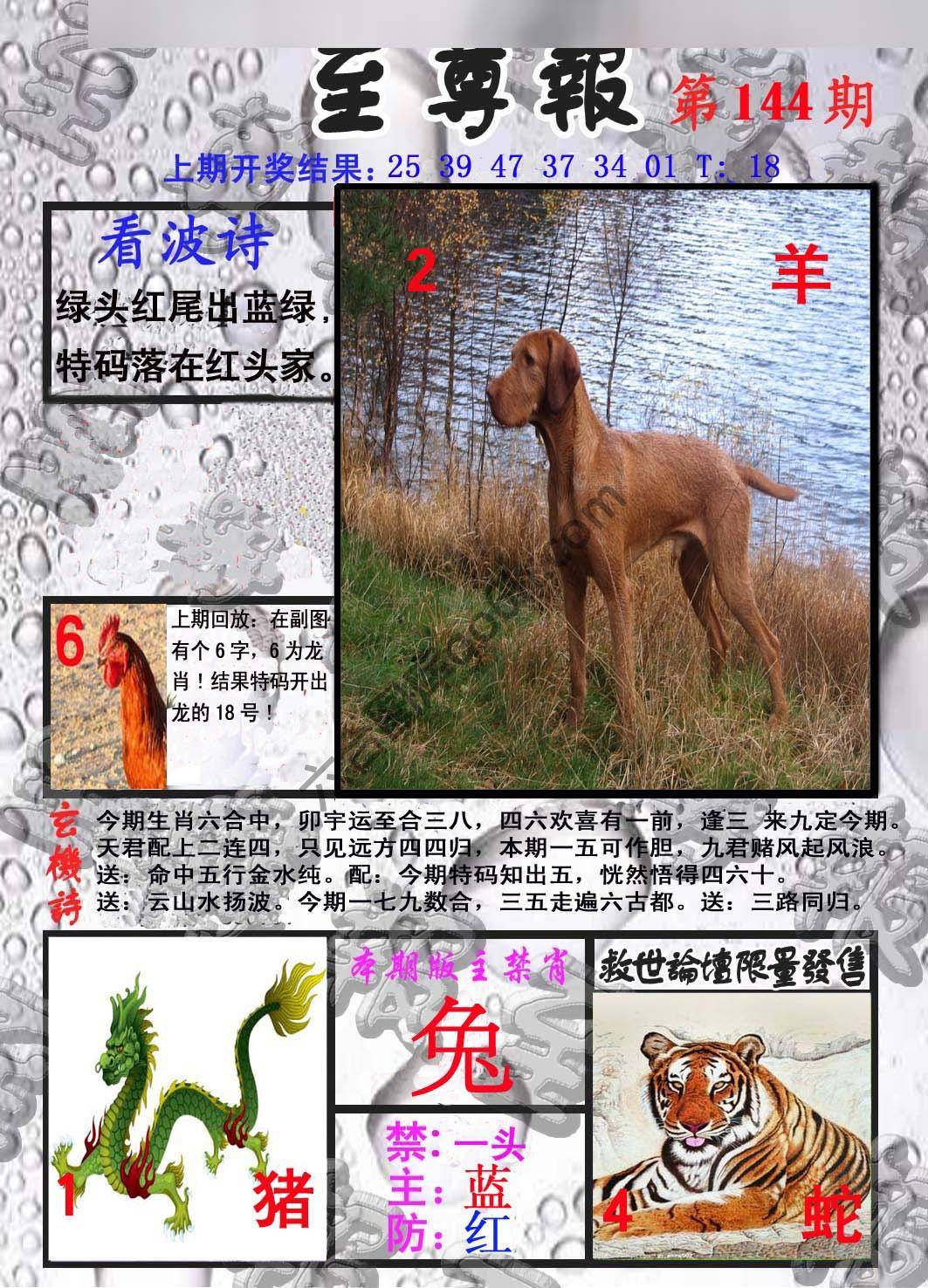至尊报