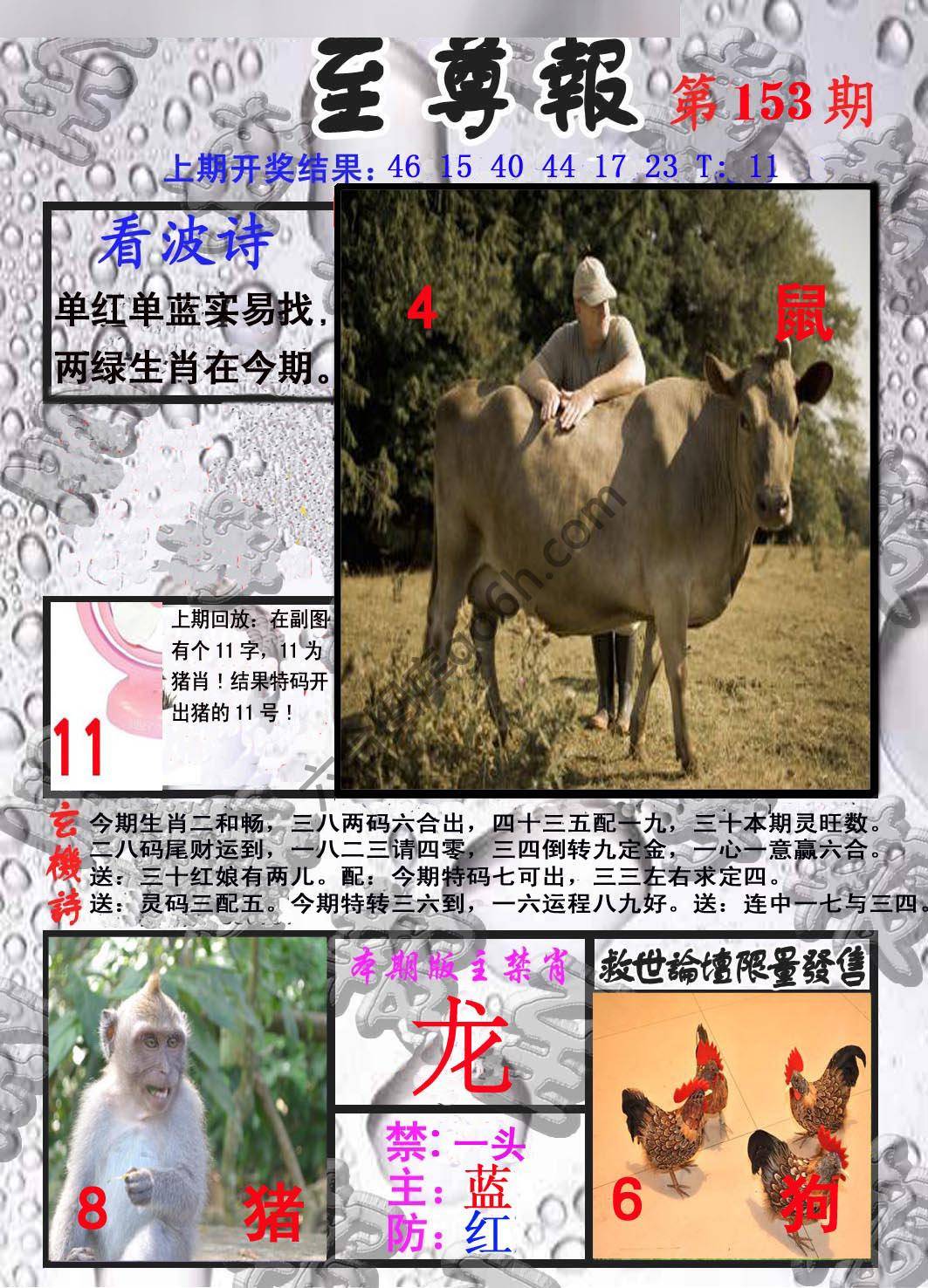 至尊报
