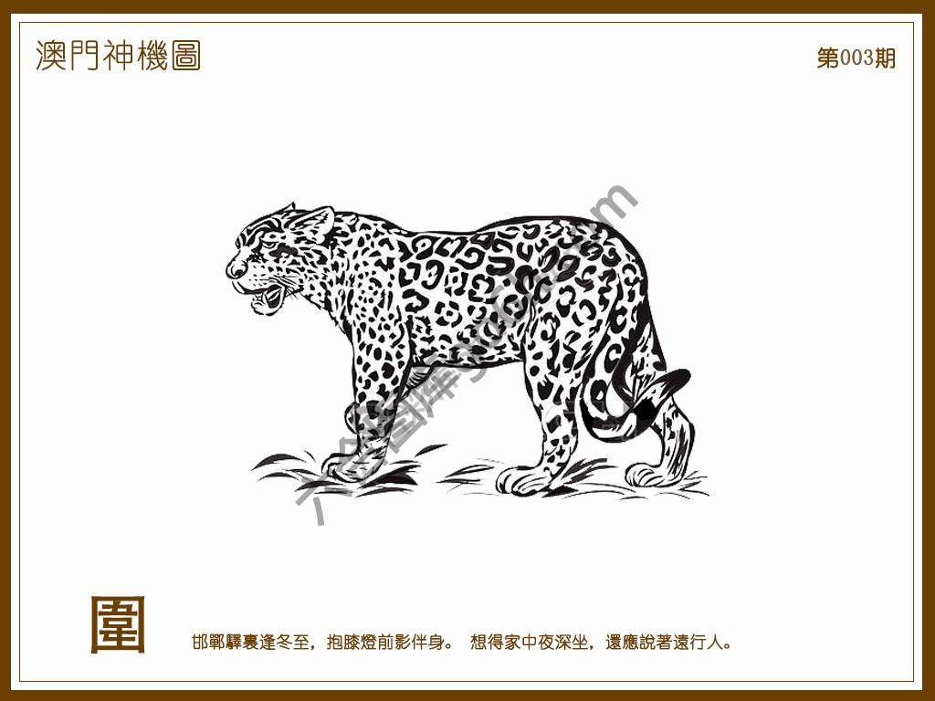 澳门神机图