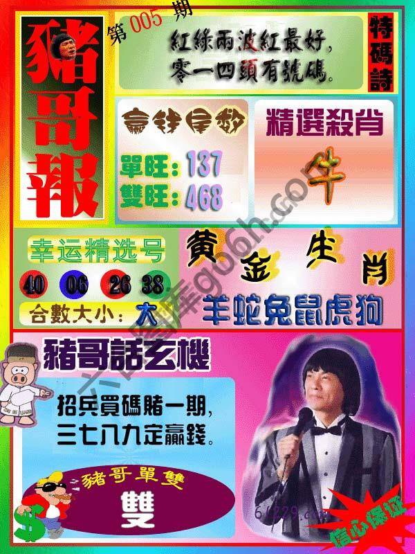 猪哥报