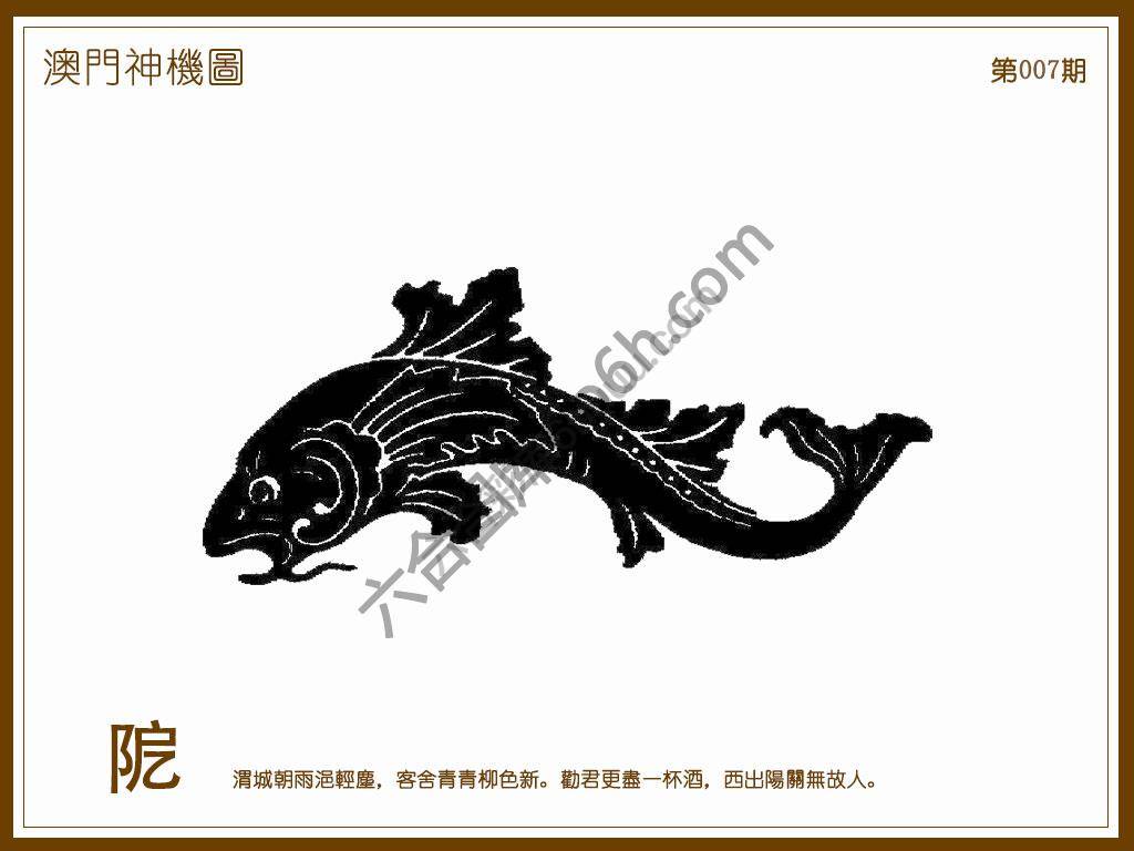 澳门神机图