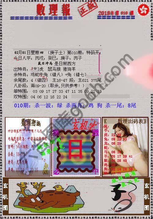 数理报