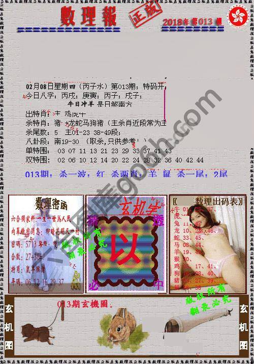 数理报
