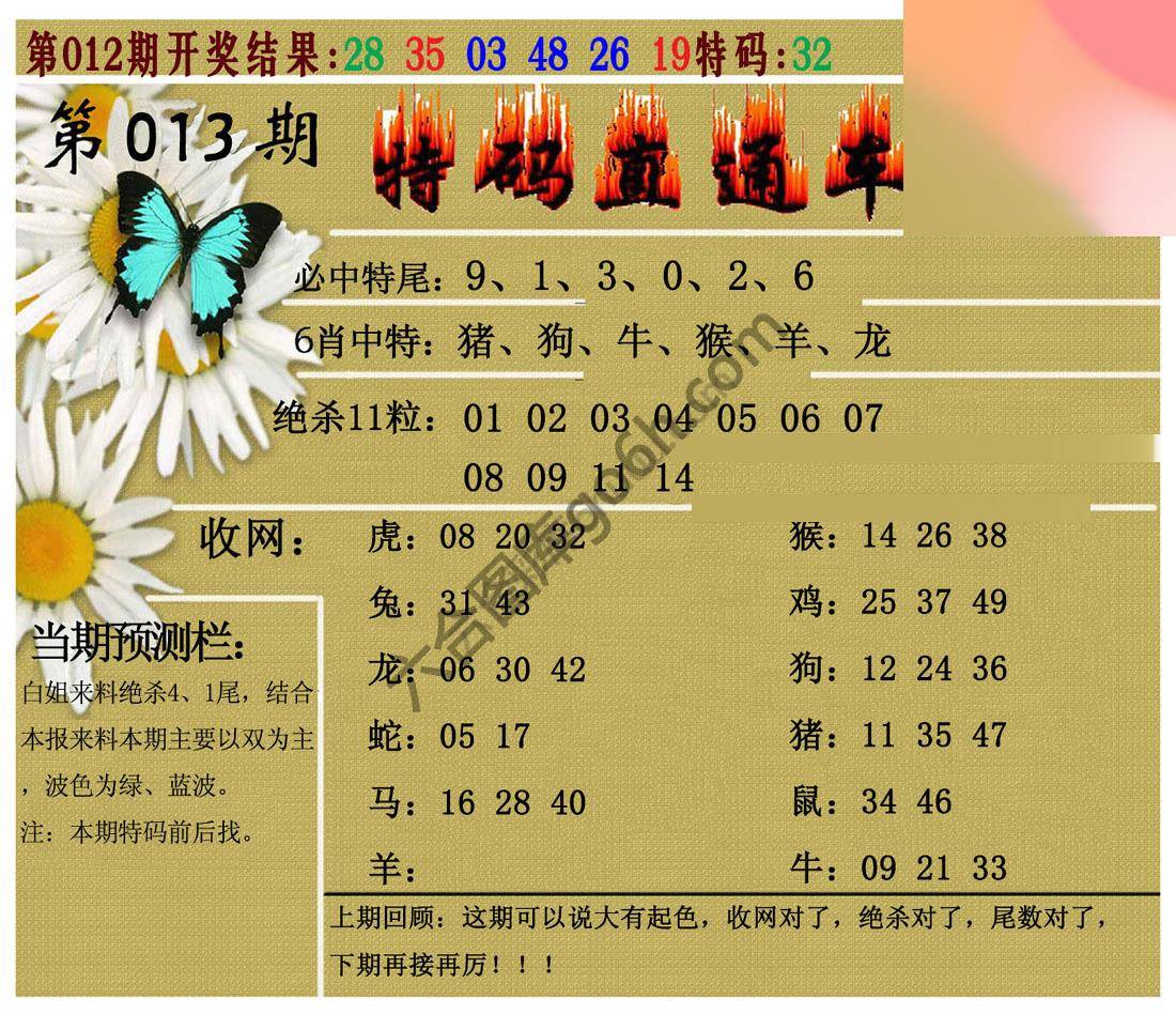 特码直通车