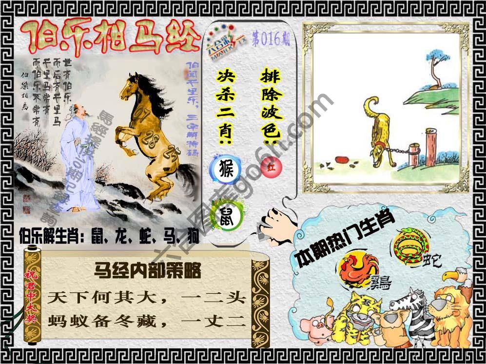 伯乐相马经