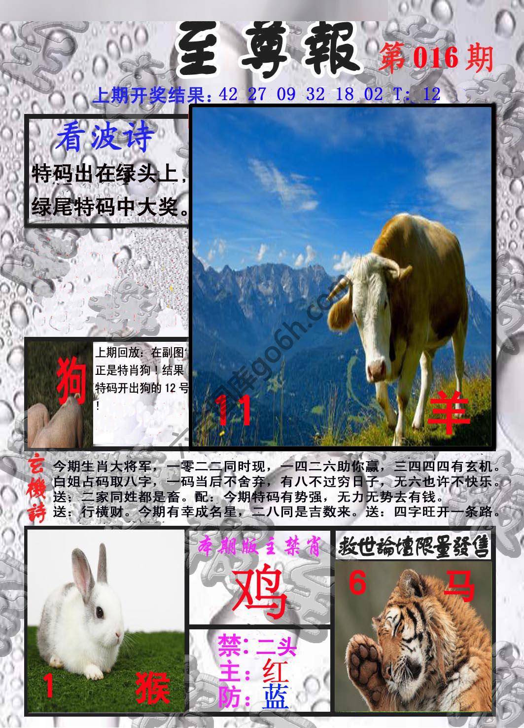 至尊报