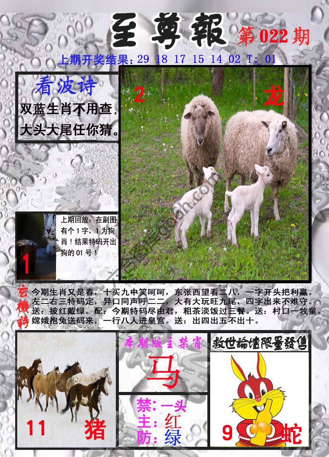 至尊报