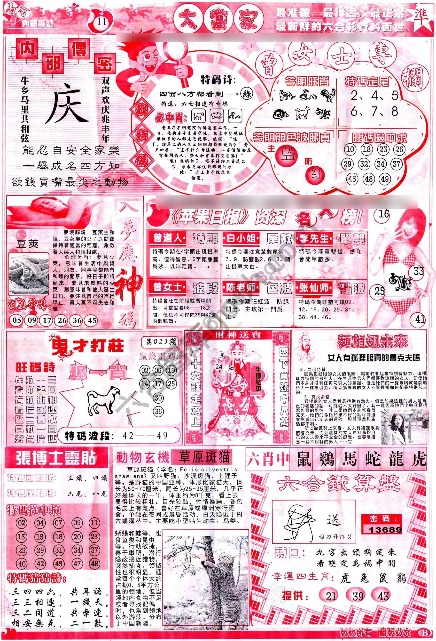 大当家