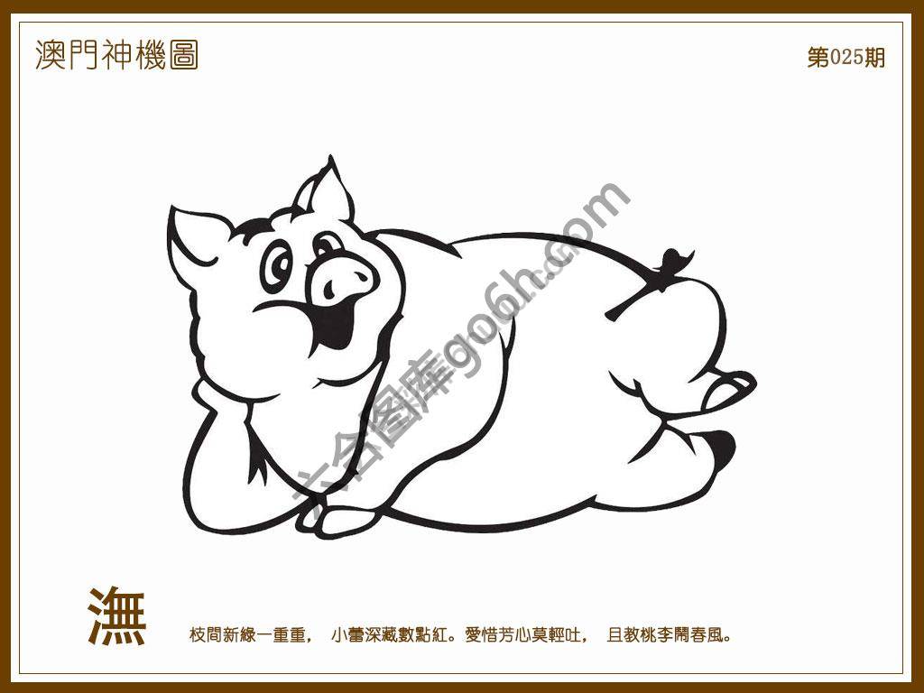 澳门神机图
