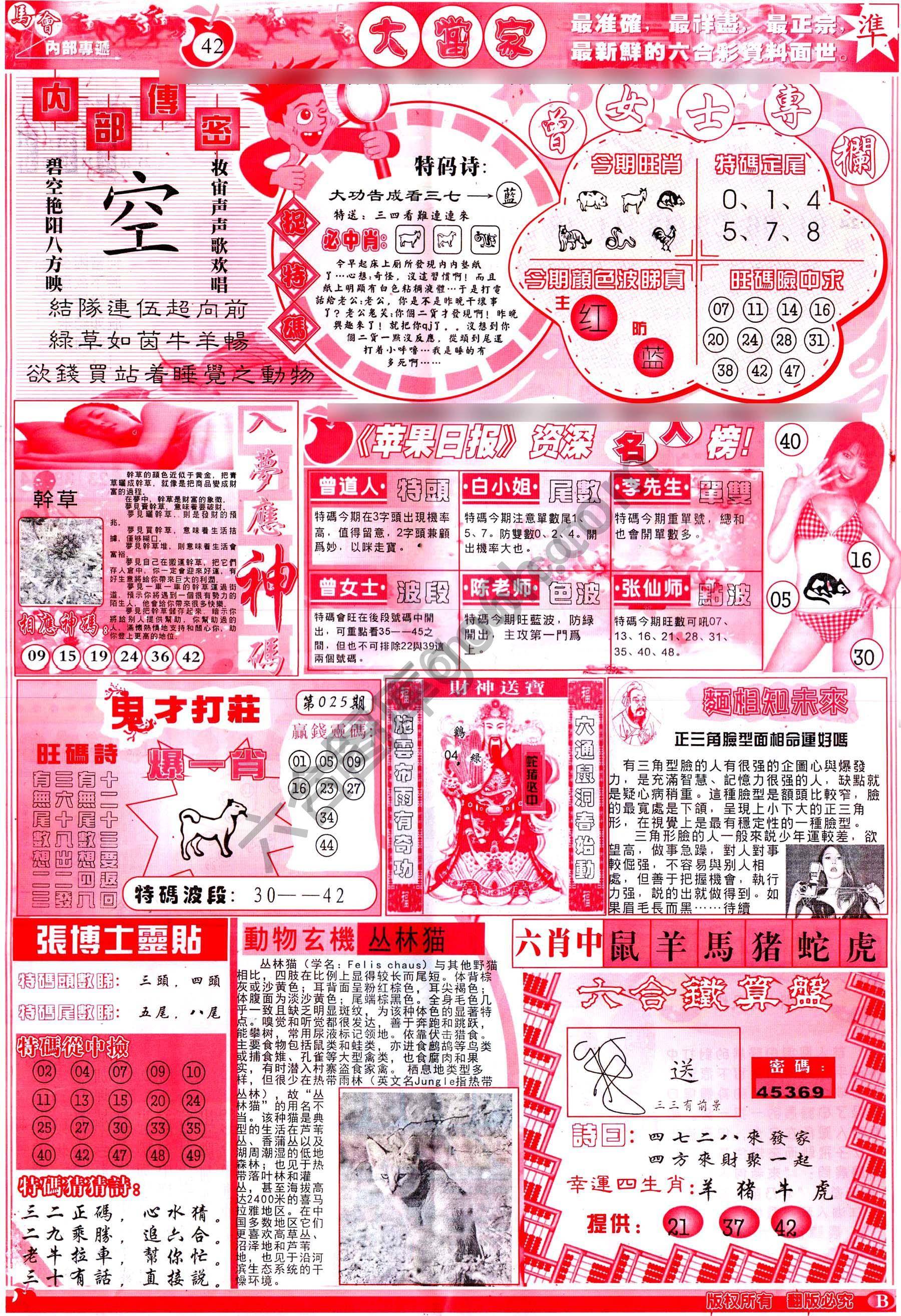 大当家