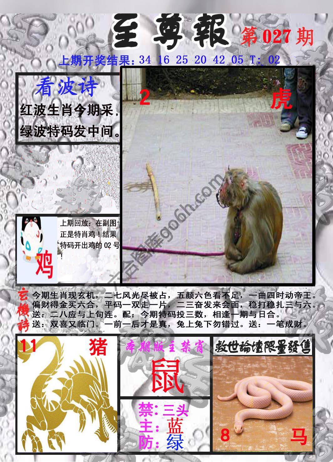 至尊报