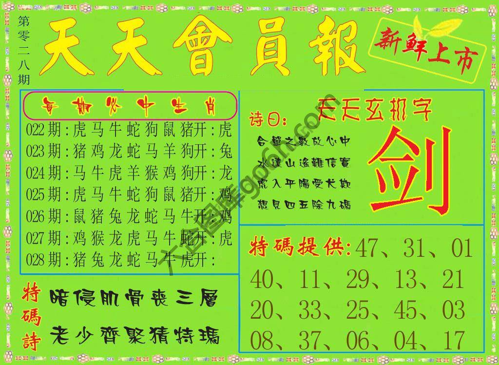 天天会员报
