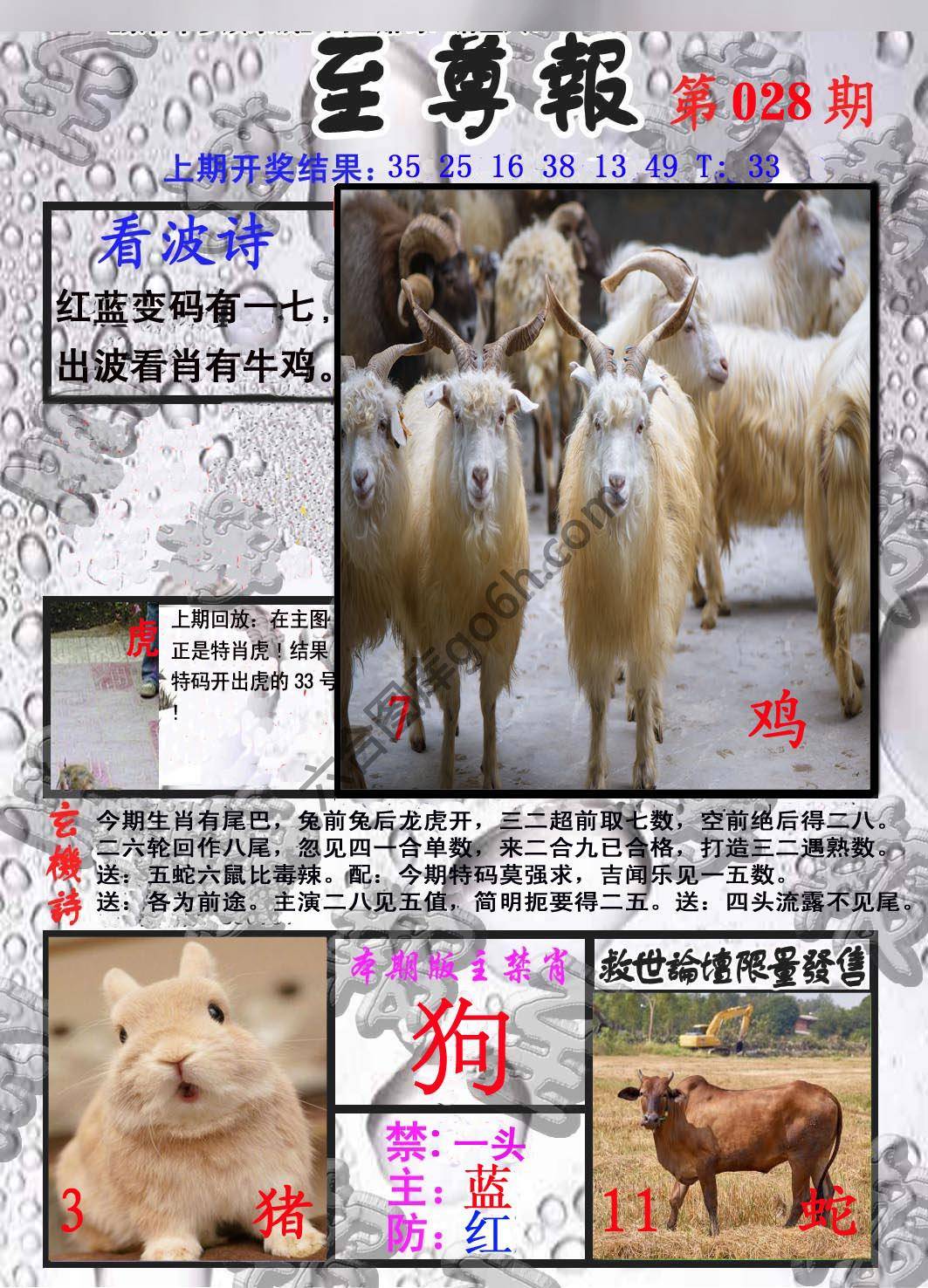 至尊报