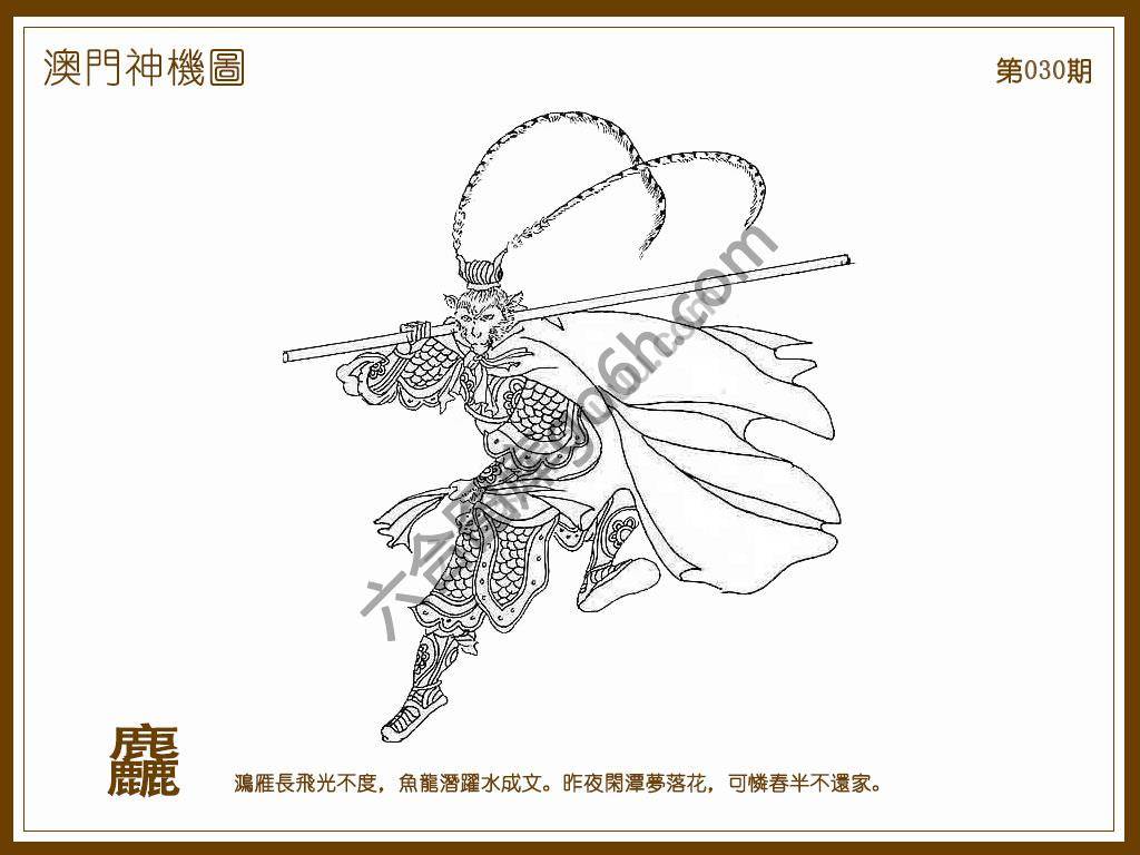 澳门神机图