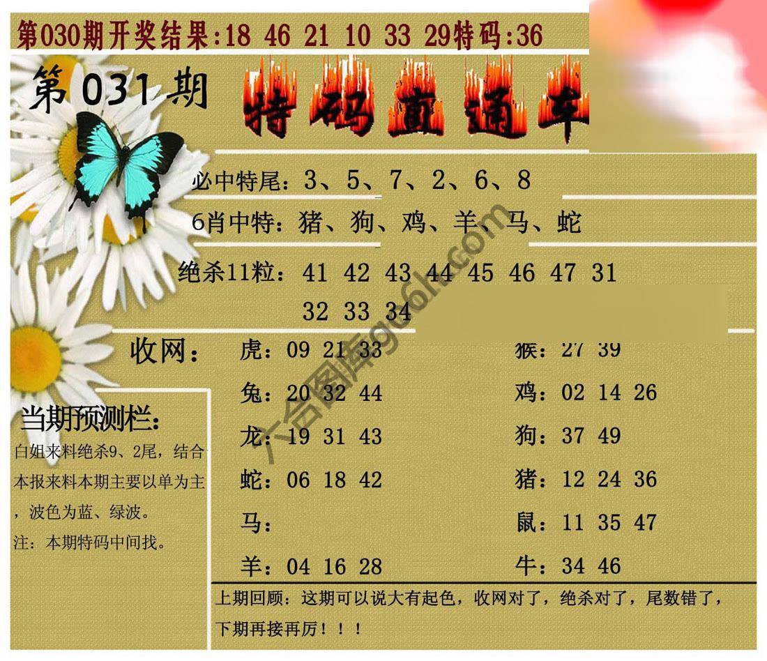 特码直通车