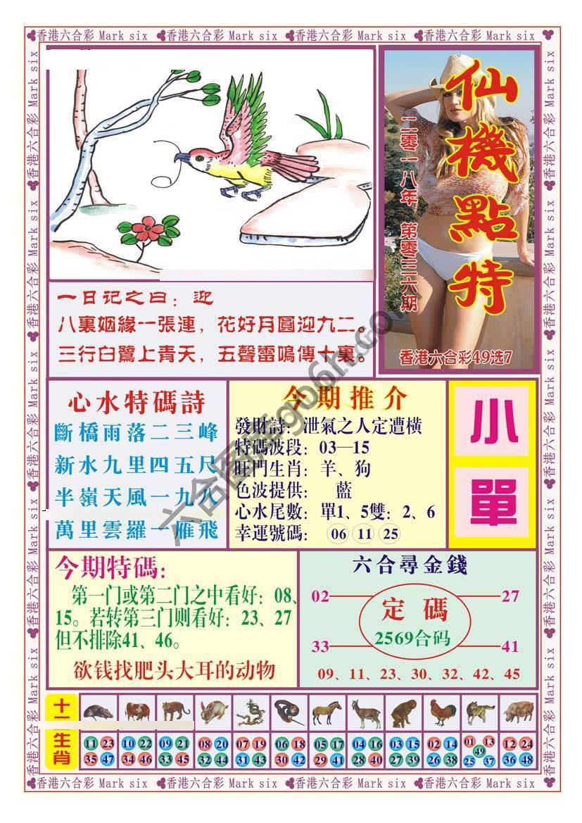 仙机点特