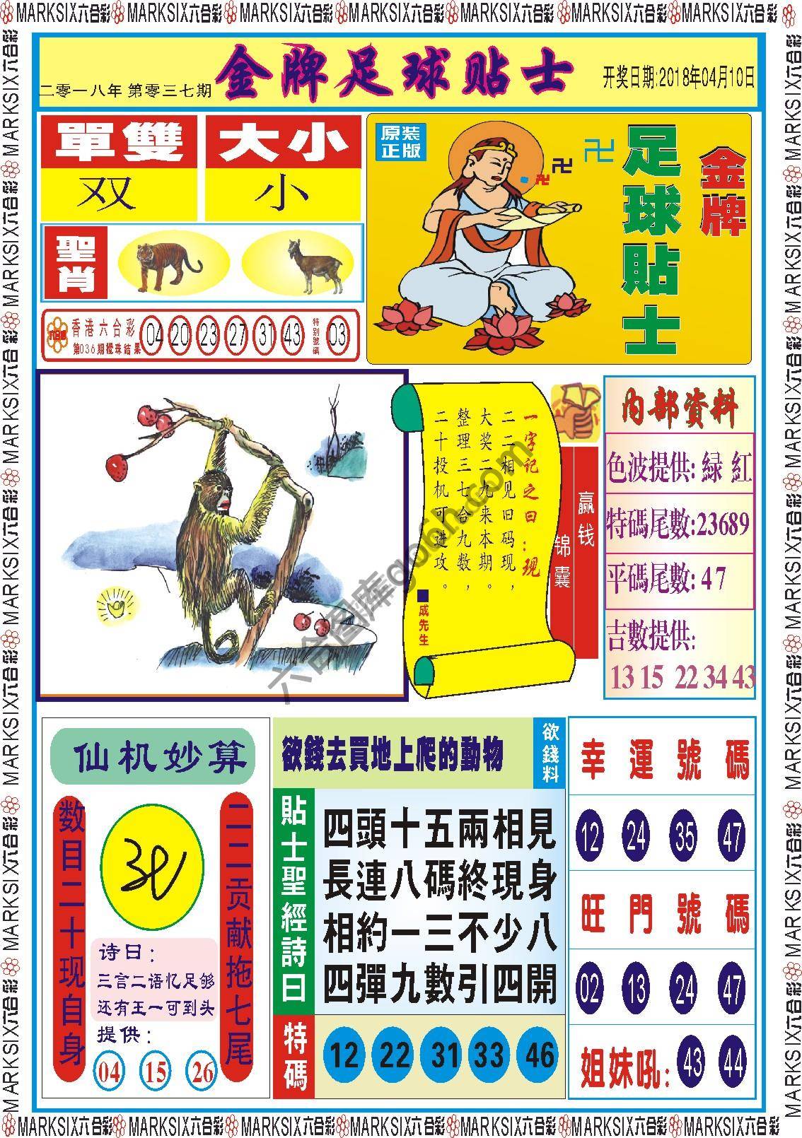 金牌足球贴士