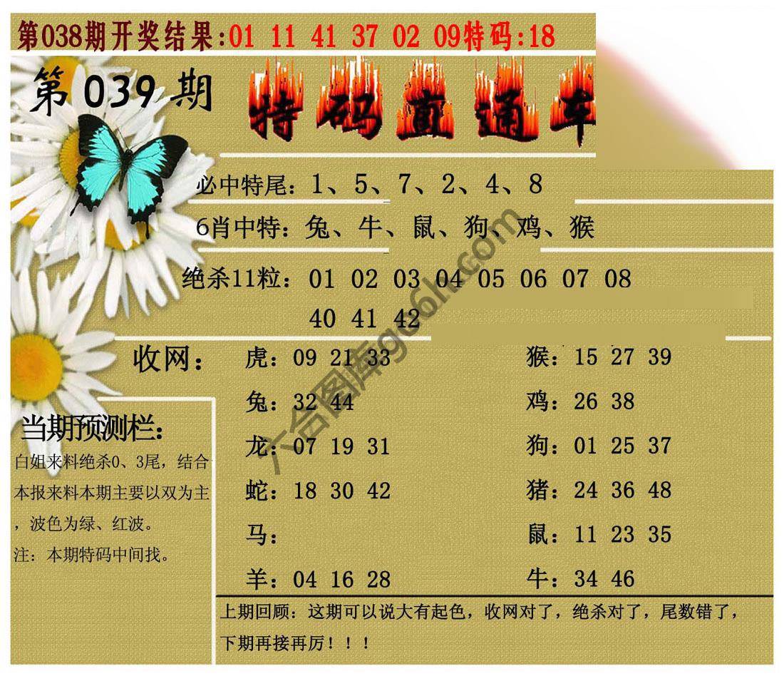 特码直通车