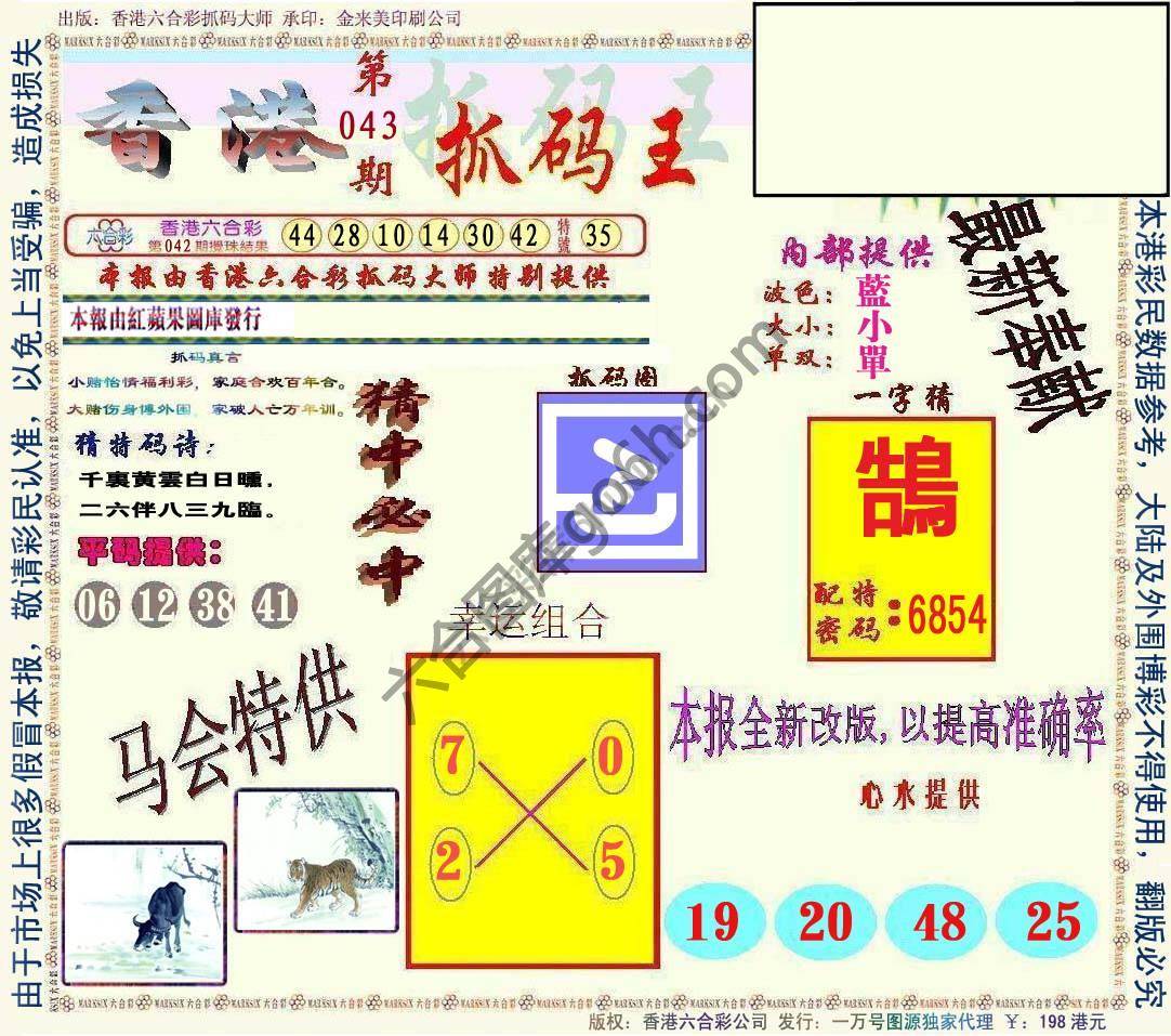 新抓码王