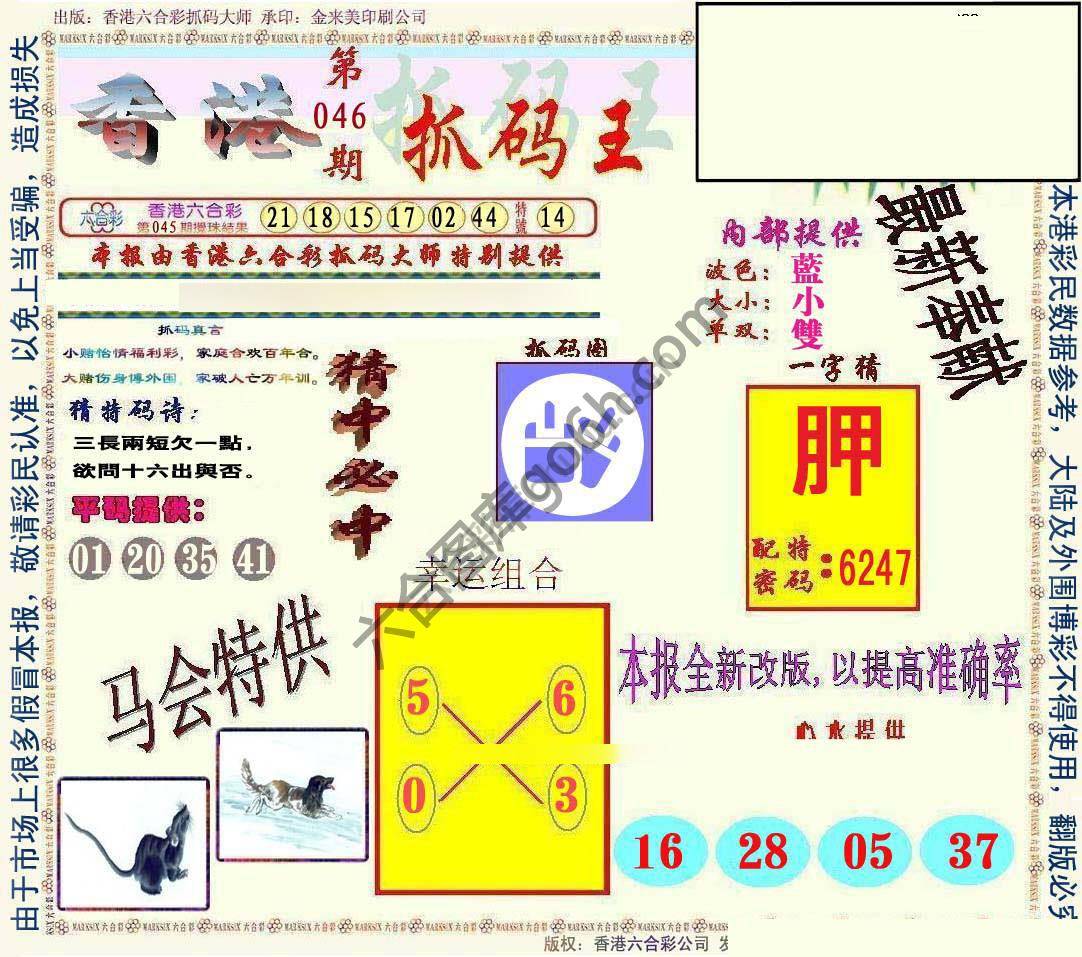 新抓码王