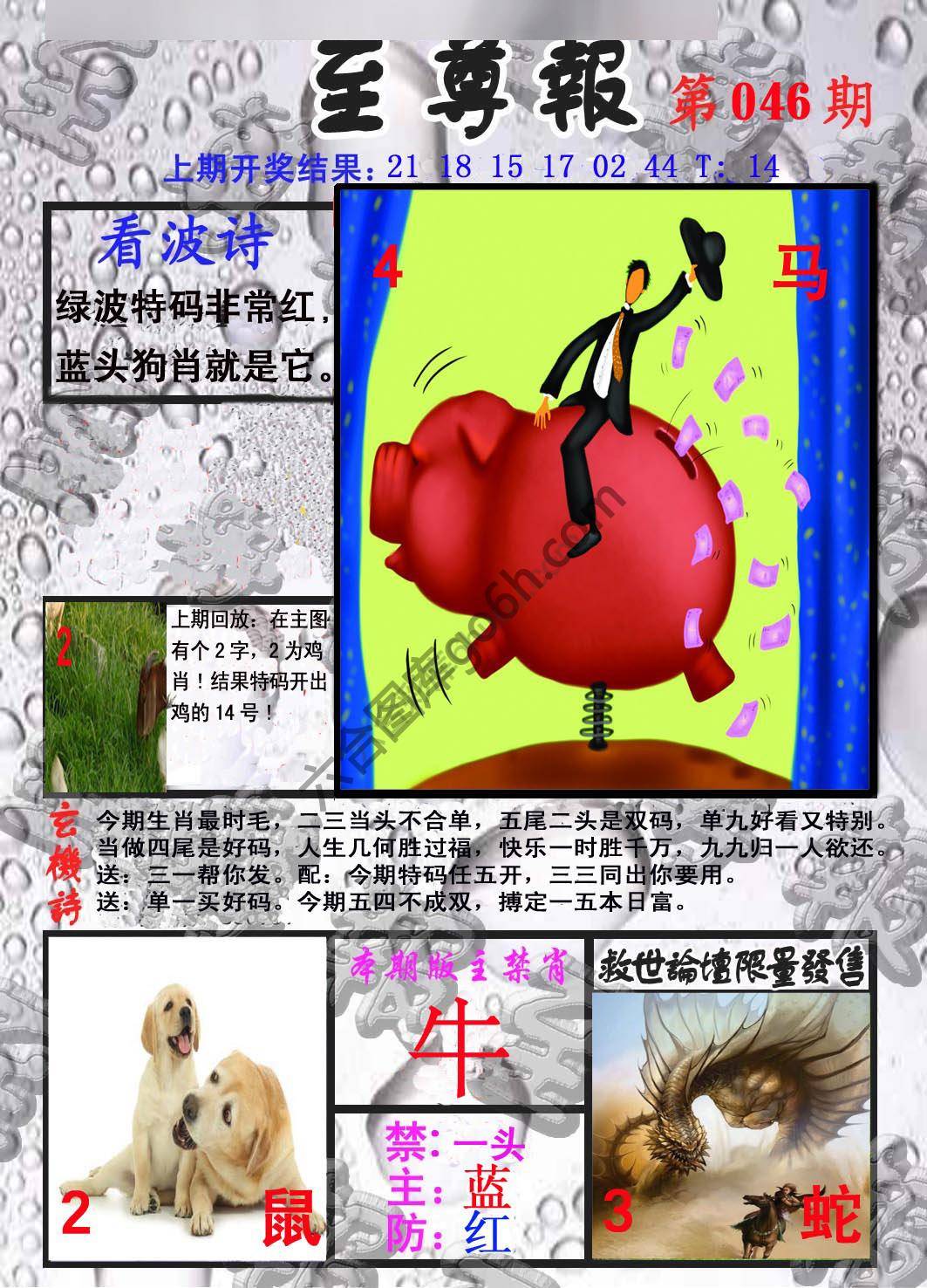 至尊报