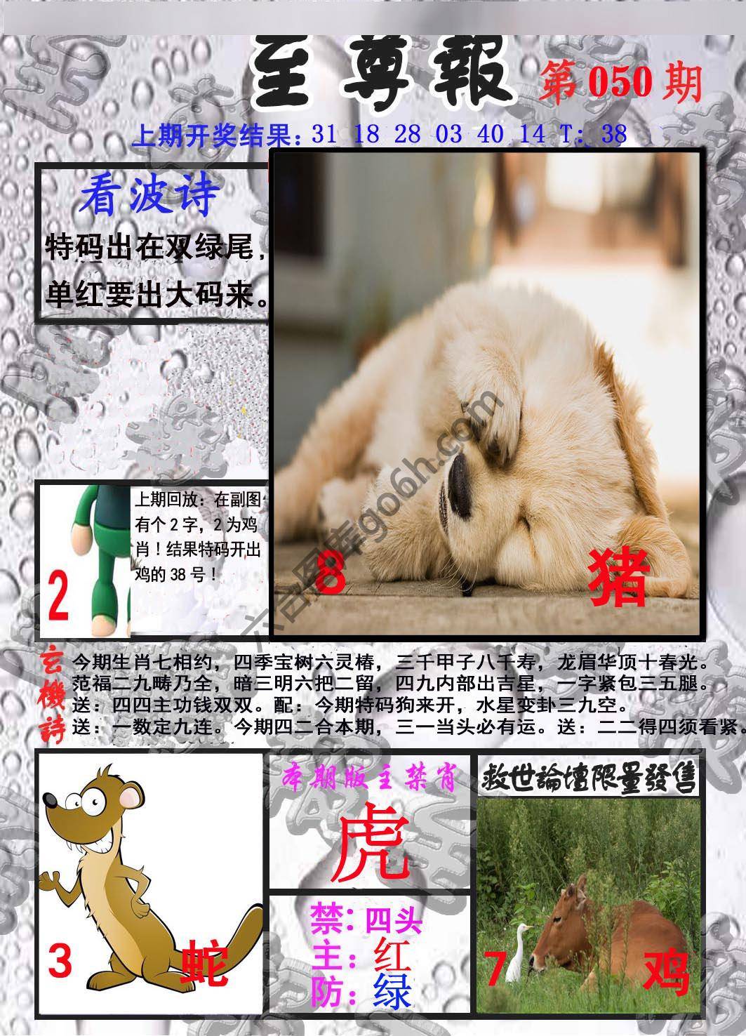 至尊报