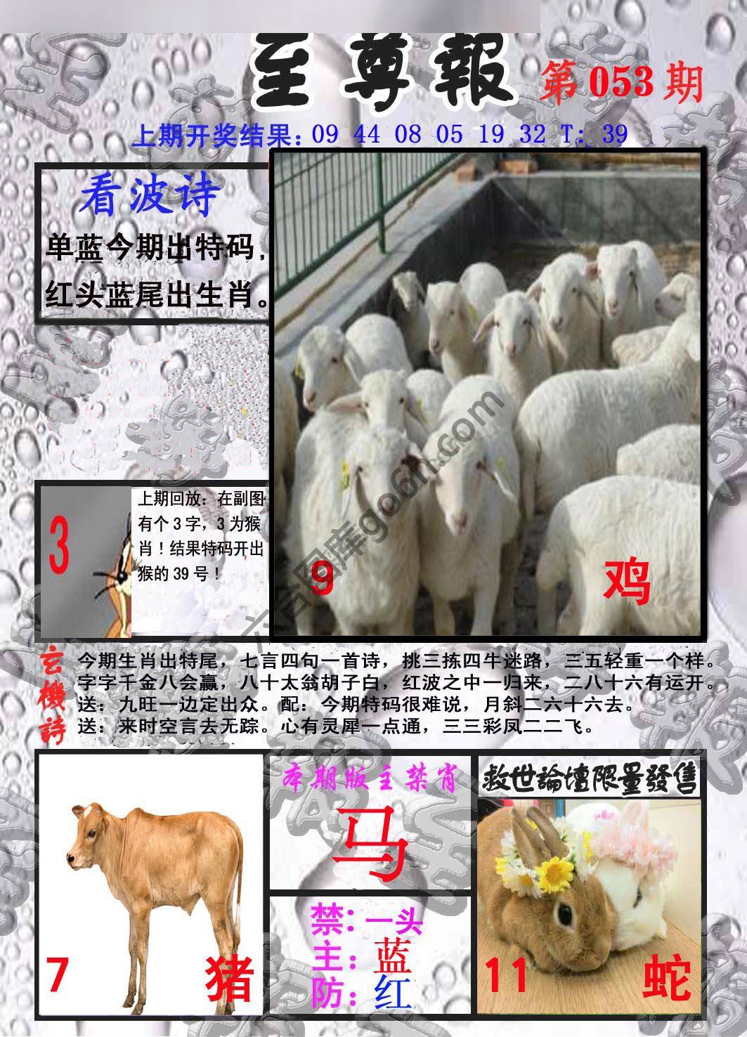 至尊报