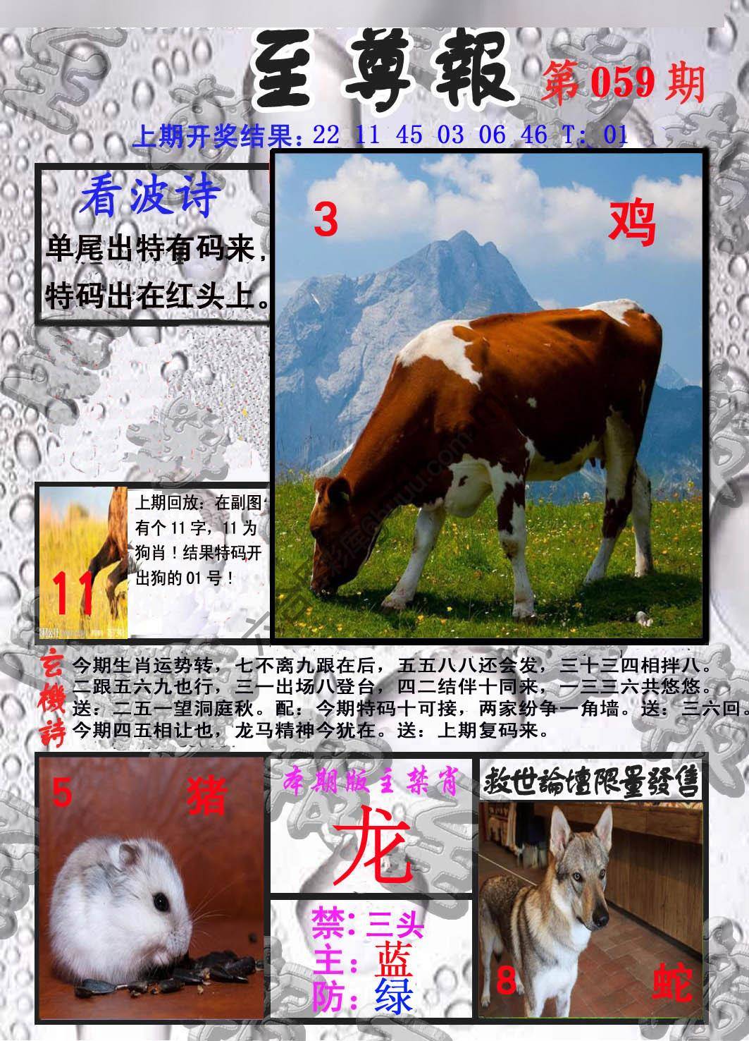 至尊报