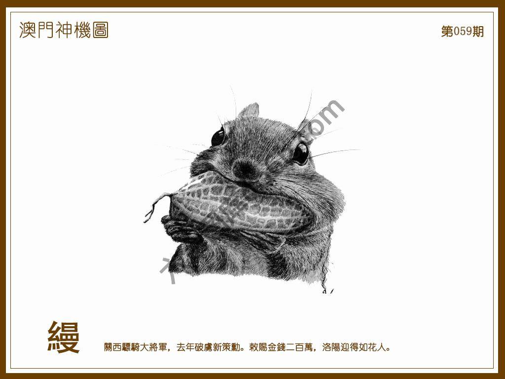 澳门神机图