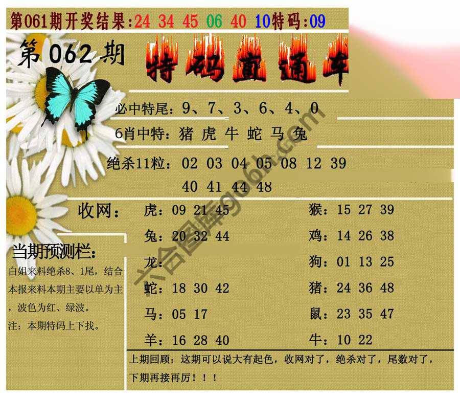 特码直通车