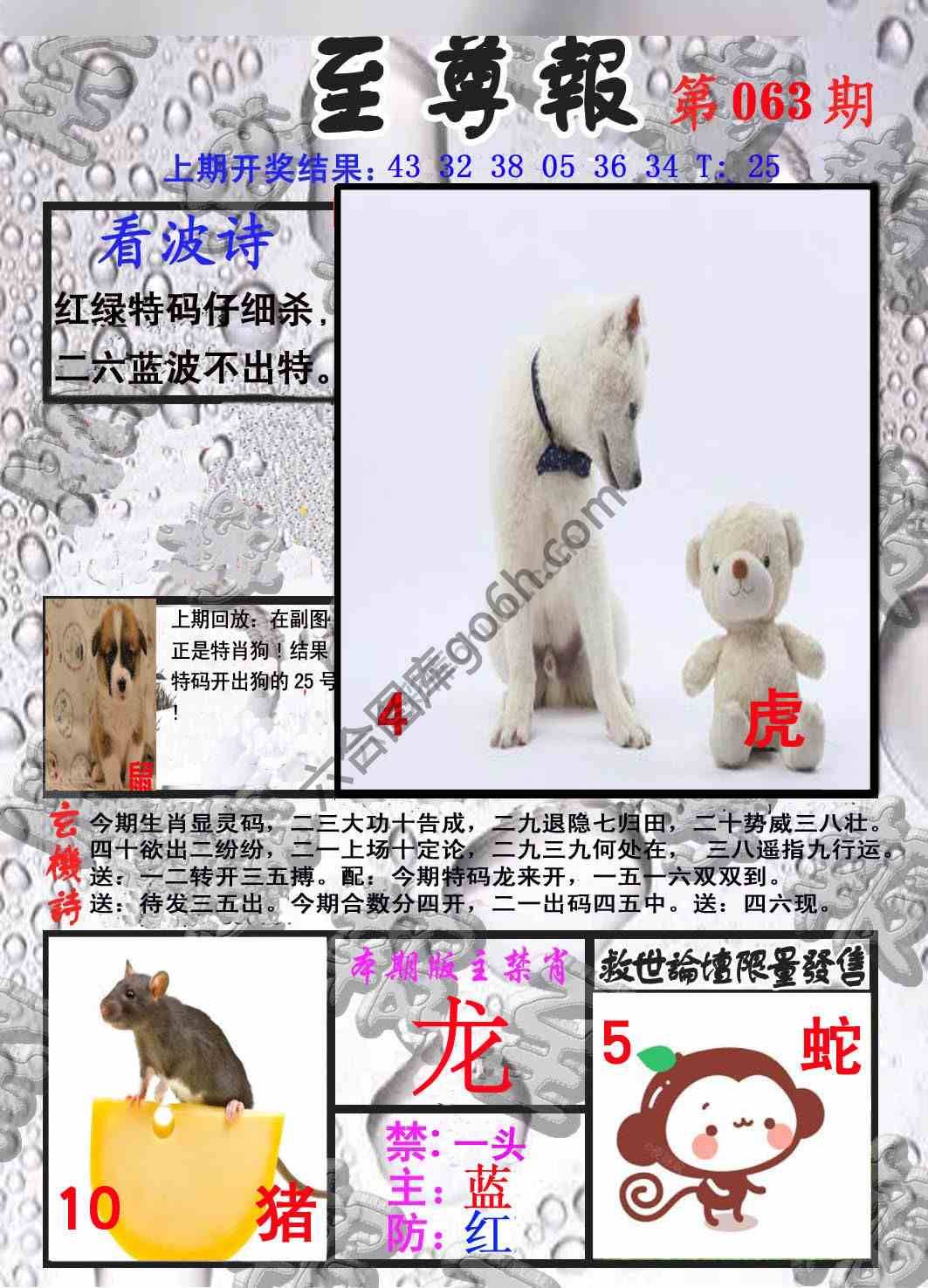至尊报