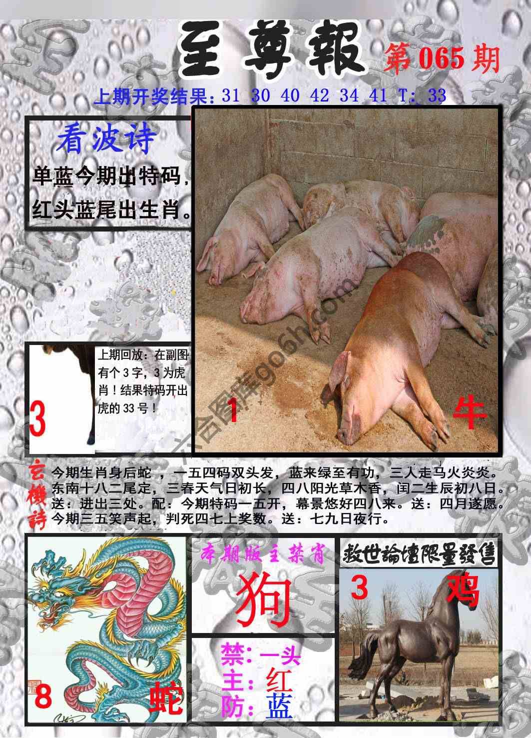 至尊报