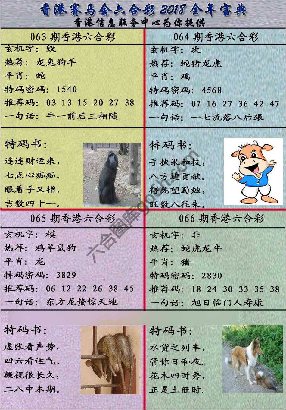 宝典报