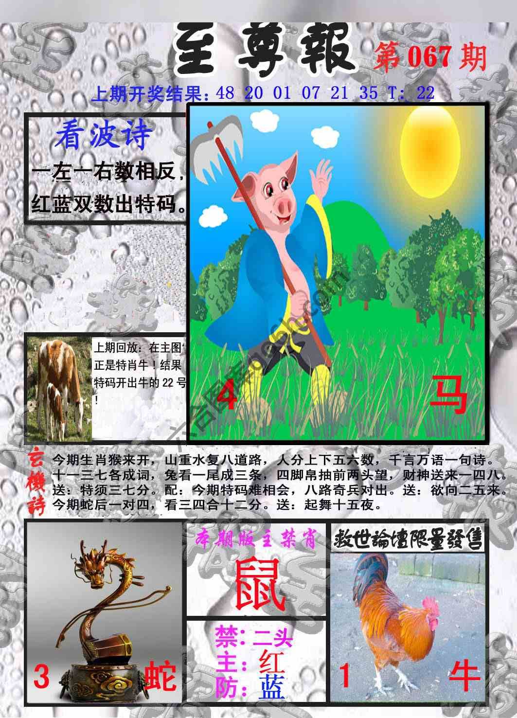 至尊报